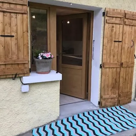Apartment Brown Bear